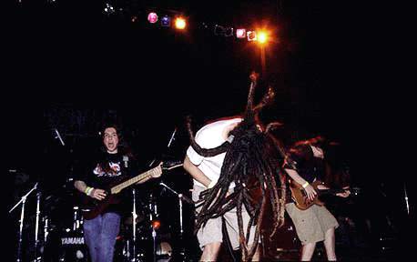 shadows fall
